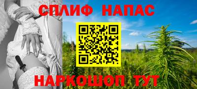 мяу мяу мука Ачхой-Мартан