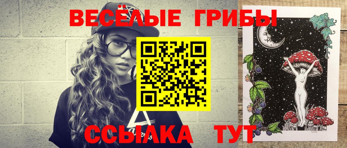 закладка  Галлюциногенные грибы прущие грибы  Архангельск  Вход с VPN  Галлюциногенные грибы Psilocybe 