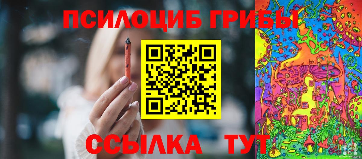 Галлюциногенные грибы мухоморы Архангельск
